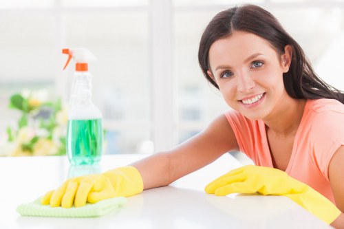 Deep cleaning service for a fresh and spotless interior
