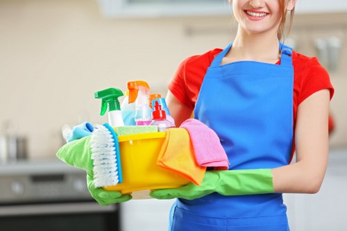 Secure sofa cleaning payment page with protected checkout options