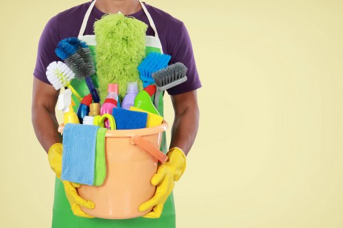 Professional sofa cleaning service for a local living room in Services