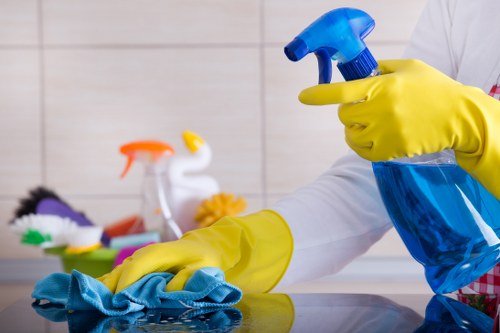 SSL-encrypted sofa cleaning services payment processing