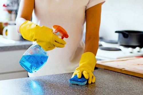 Deep cleaning a fabric sofa to refresh and sanitize living room furniture