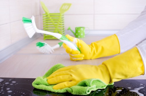 Final secure checkout section for sofa cleaning services payments