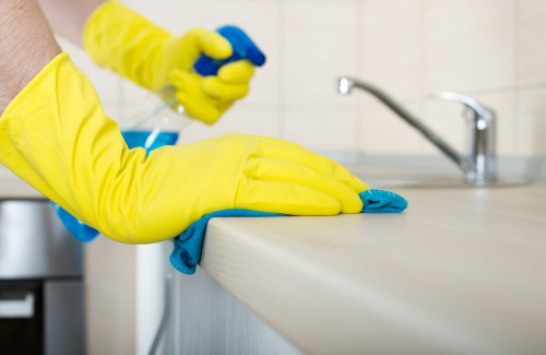 Cleaning products and tools arranged before sofa cleaning