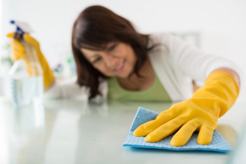 Inclusive local sofa cleaning services website with readable layout