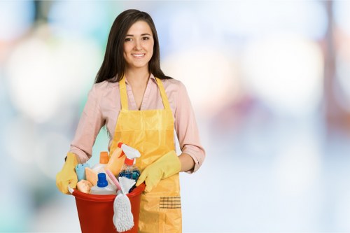 Supplier compliance audit for a sofa cleaning company