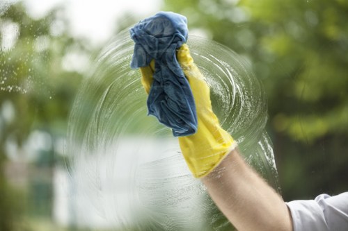 Residential oven cleaning service improving kitchen hygiene
