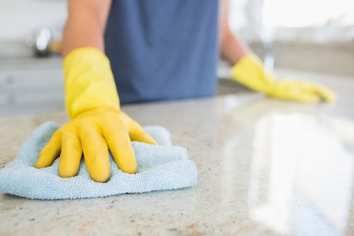 Deep cleaning support for a kitchen and family home