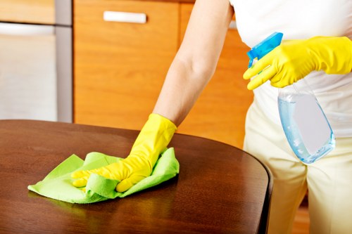 Upholstery cleaning process for a living room sofa